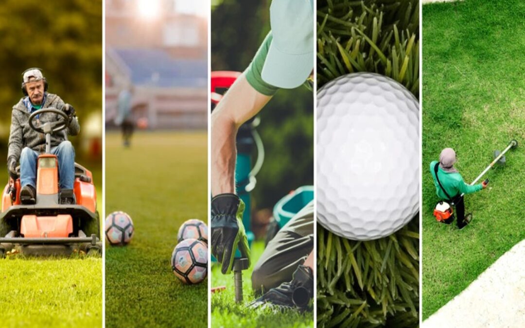 IL VERDE SPORTIVO SEMPRE PIU’ PRESENTE A MOVE CITY SPORT