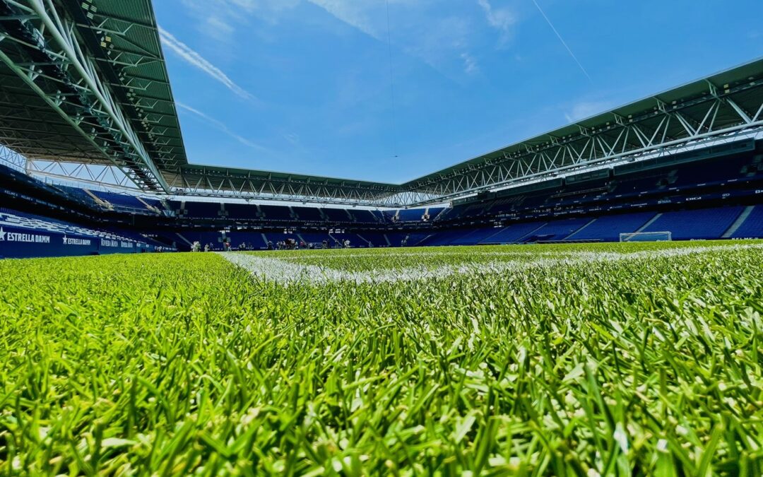 IL VERDE SPORTIVO SEMPRE PIU’ PRESENTE A MOVE CITY SPORT – ETS